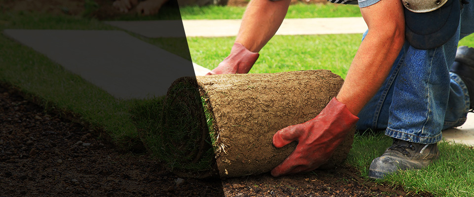 Lake Saint Louis Landscapers